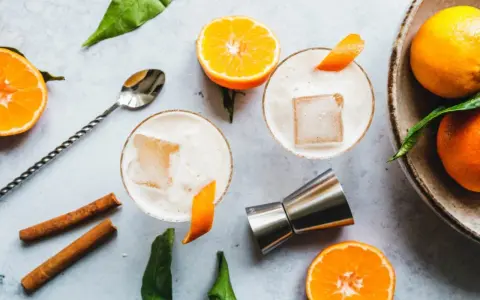 Zwei cremige Gin Sours mit Eis und Orangenzesten, garniert mit Zimtstangen und frischen Mandarinen.