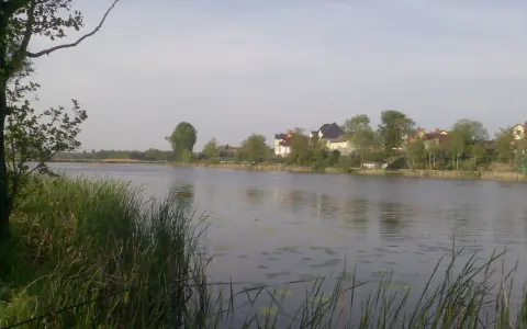 Spokojne jezioro wilanowskie z domami na brzegu i trzcinami na pierwszym planie.