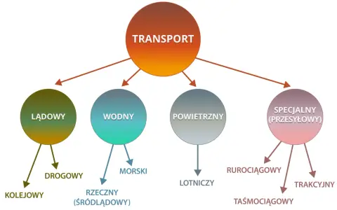 Czym jest spedycja? Kluczowe zadania i rodzaje transportu