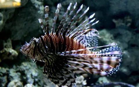 Oceanarium Niechorze: Czy warto? Opinie, ceny, porady