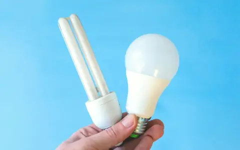 Une ampoule fluocompacte et une ampoule LED sont tenues dans une main, illustrant la puissance LED moderne.