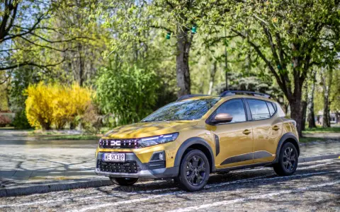 Złoty Dacia Sandero Stepway na tle wiosennej zieleni i kwitnącego krzewu.
