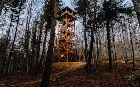 Drewniana wieża widokowa Ferdel wznosi się pośród jesiennego lasu, zapraszając do podziwiania panoramy.