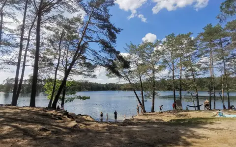 Słoneczny dzień nad srebrnym jeziorem. Ludzie kąpią się i odpoczywają na piaszczystej plaży, otoczonej sosnami.