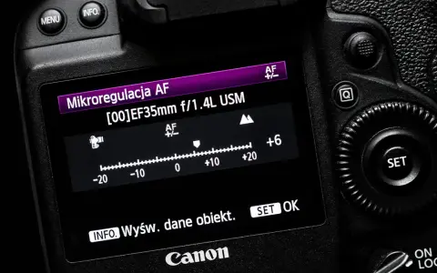 Ekran aparatu Canon z menu mikroregulacji AF dla obiektywu EF35mm f/1.4L USM. Ustawienie +6. Niektóre detale mogą być rozmazane zdjecia.