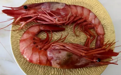 Dos gambas rojas, de distintos tipos, descansan sobre un plato dorado.