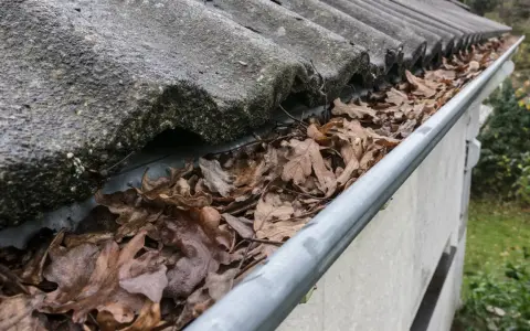 Gouttière remplie de feuilles mortes, nécessitant un nettoyage pour **déboucher la gouttière** et assurer un bon écoulement.