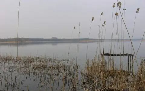 Spokojne jezioro Wierzbiczańskie otoczone trzcinami i lasem. Na pierwszym planie widoczny stary pomost.