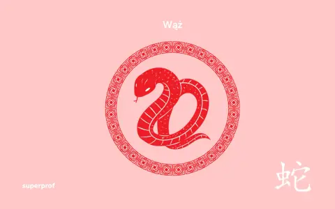 Czerwony wąż horoskop chiński w okręgu z ornamentem. Obok chiński znak "wąż".