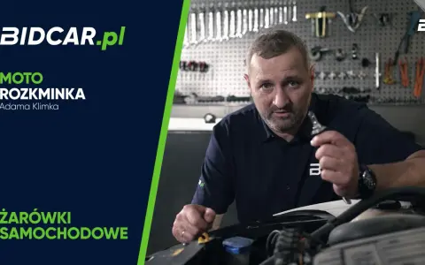 Mężczyzna trzymający żarówkę samochodową w warsztacie.