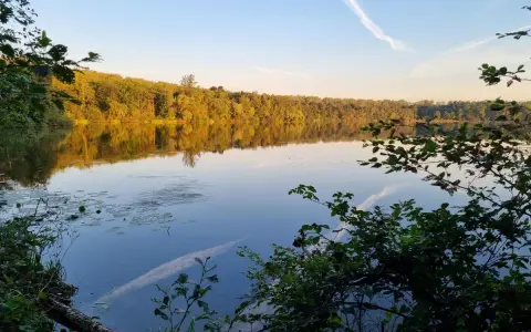 Sonnenuntergang am Liblarer See. Bäume spiegeln sich im ruhigen Wasser, der Himmel ist blau mit weißen Kondensstreifen.