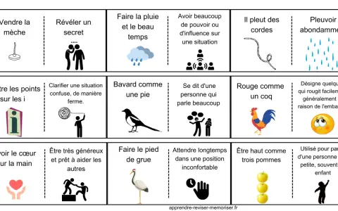 Illustrations de vieilles expressions françaises : vendre la mèche, révéler un secret, faire la pluie et le beau temps, avoir beaucoup de pouvoir, il pleut des cordes, pleuvoir abondamment, mettre les points sur les i, bavard comme une pie, rouge comme...