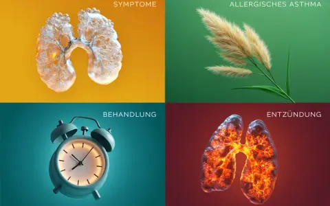 Vier Bilder zeigen: Lunge mit Symptomen, Gräser (allergisches Asthma), Wecker (Behandlung) und entzündete Lunge. So ist Asthma.