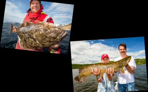 Glückliche Angler mit ihren Fängen. Ein Mann hält einen großen Fisch, während ein Junge und ein Mann einen Hecht präsentieren. Mit dem Echolot Fische erkennen ist hier erfolgreich.