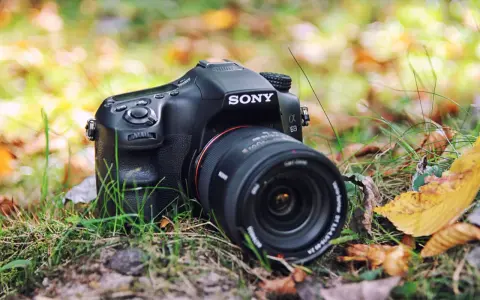 Lustrzanki Sony: Koniec produkcji. Używane SLT czy bezlusterkowce?