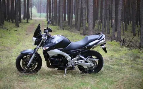 Suzuki GSX 600 F dane techniczne: czarny motocykl stoi na leśnej ścieżce, otoczony sosnami.