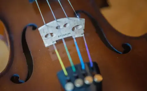 Kolorowe struny skrzypiec, od żółtej do fioletowej, tworzą tęczowy akcent na instrumencie. Nazwy strun w skrzypcach mogą być różne, ale te wyglądają na wyjątkowe.