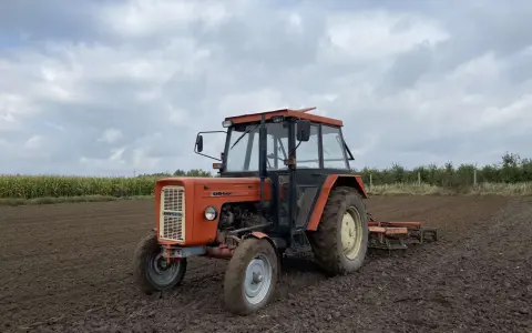 Pomarańczowy Ursus C-360 na polu. Zastanawiasz się, ile oleju do silnika C-360 potrzebujesz? Ten traktor jest gotowy do pracy.