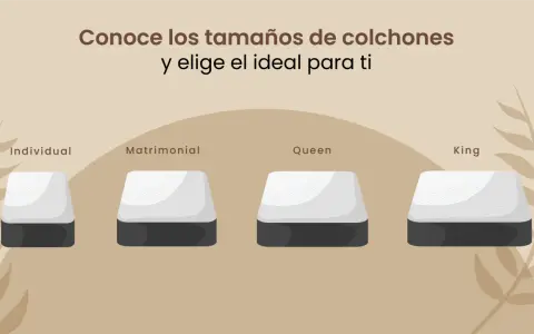 Conoce los distintos tipos de colchones: Individual, Matrimonial, Queen y King. Elige el tamaño perfecto para tu descanso.