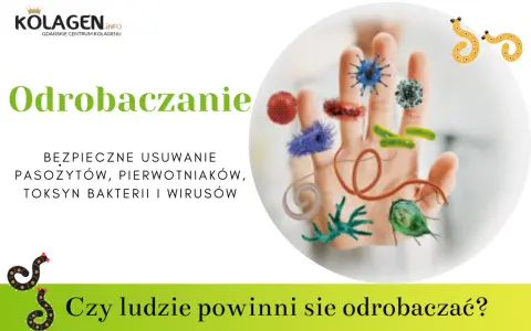 Objawy odrobaczania: co musisz wiedzieć o skutkach leczenia