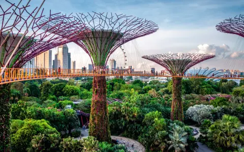 Superdrzewa w Gardens by the Bay, Singapur. To miasto-państwo leży w Azji Południowo-Wschodniej.