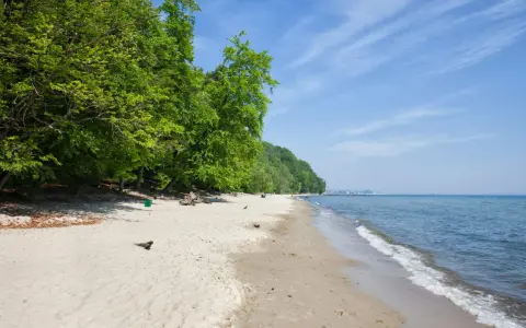 Plaża w Gdańsku z zielonym lasem po lewej i spokojnym morzem po prawej. W oddali widać zabudowania.