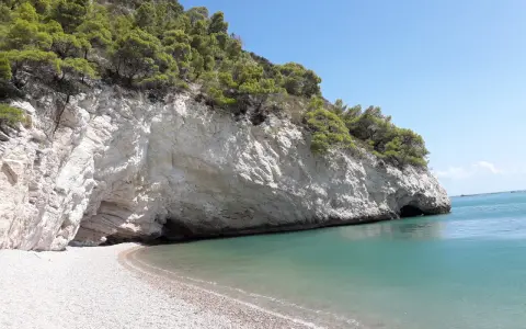 Una spiaggia di ciottoli bianchi si apre su un mare cristallino, incastonata tra imponenti scogliere calcaree ricoperte di pini marittimi. Sembra proprio la baia delle sirene, un luogo incantato.