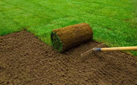 Préparer le sol pour comment refaire sa pelouse. Un rouleau de gazon est prêt à être posé sur la terre fraîchement ratissée.