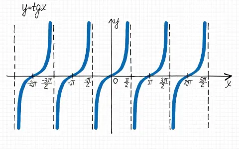 Die Funktion y=tgx mit ihren charakteristischen Sprüngen, die an eine Excel-Tangens-Funktion erinnern.