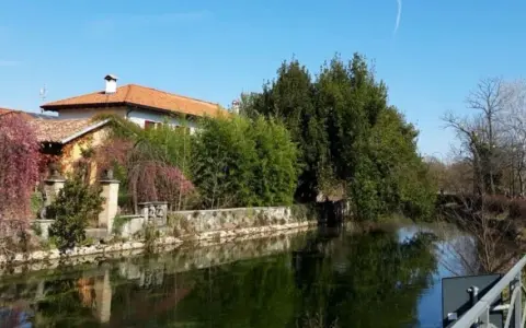 Splendide passeggiate vicino Milano, con un canale tranquillo, alberi fioriti e un sentiero per godersi la natura.