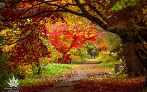 Arboretum Rogów: Co Zobaczyć? Atrakcje, Bilety, Sezonowe Cuda