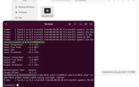 Terminal pokazuje analizę głośności pliku wideo. Wyniki loudness co to, wskazują na znormalizowany poziom dźwięku.