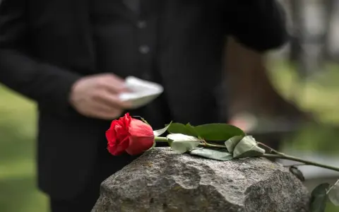 Czerwona róża na kamieniu, symbol żałoby i trudnego działu spadku. W tle postać w czerni.
