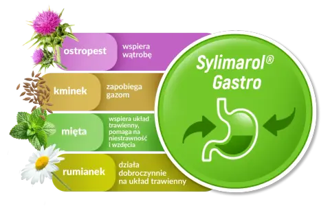 Sylimarol Gastro: ostropest wspiera wątrobę, kminek zapobiega gazom, mięta i rumianek działają dobroczynnie na układ trawienny.