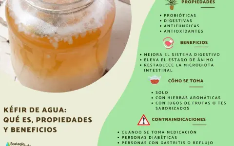 Kéfir de agua en un frasco, ideal para que es bueno el kéfir: mejora digestión, ánimo y microbiota. Propiedades probióticas, digestivas, antifúngicas y antioxidantes.