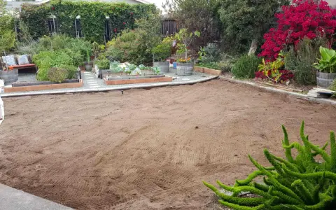 A cleared, sandy patch of yard, ready for new planting. This area, once grass, is now prepped for a garden, showing how to kill grass for a fresh start.