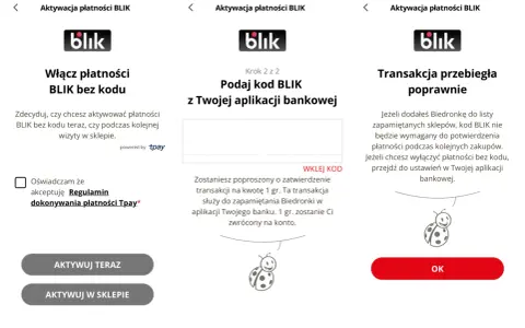 Czy w Biedronce można płacić blikiem? Odkryj wszystkie szczegóły