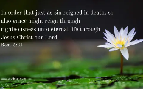 A white water lily blooms, symbolizing justification by faith and eternal life through Jesus Christ, as Romans 5:21 states.