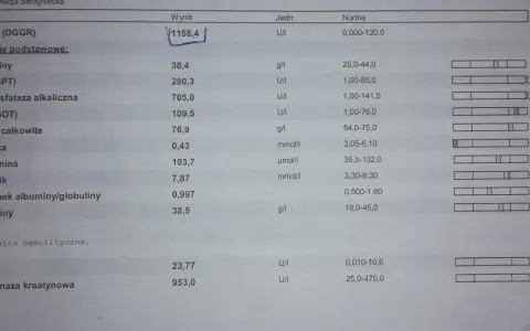 Wynik badania lipazy u psa: 1158,4 U/I. Wynik znacznie przekracza normę (0-120 U/I), co może wskazywać na problemy zdrowotne.