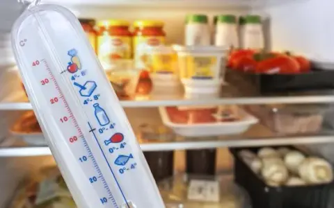 Jaka temperatura w lodówce? Klucz do świeżości i niższych rachunków