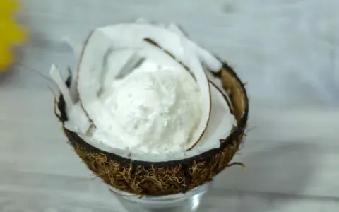Una pallina di cremoso gelato al cocco servita in una noce di cocco aperta, decorata con scaglie di cocco.