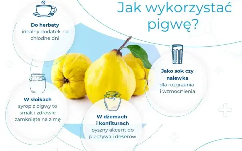 Pigwa: idealny dodatek do herbaty, syrop na zimę, sok, nalewka, dżem. Dowiedz się, co to pigwa i jak ją wykorzystać.
