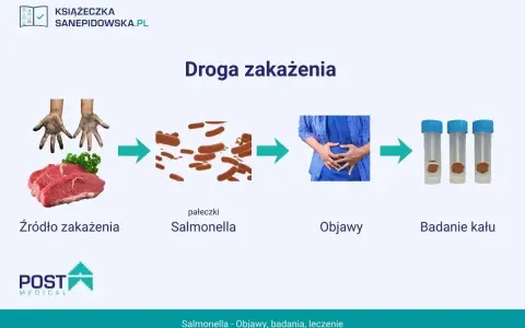 Droga zakażenia salmonellą: od surowego mięsa i brudnych rąk, przez pałeczki Salmonella, objawy bólu brzucha, po badanie kału.