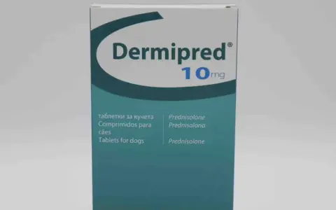 Opakowanie leku Dermipred 10mg, zawierające tabletki z prednizolonem dla psów.