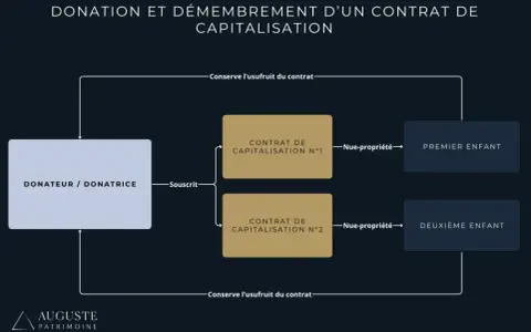 Schéma de donation et démembrement d'un contrat de capitalisation. Le donateur conserve l'usufruit, tandis que la nue-propriété de deux contrats est transmise aux enfants.