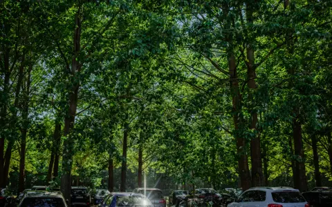 Binz Karten: Ihr cleverer Wegweiser für Strand, Parken & mehr
