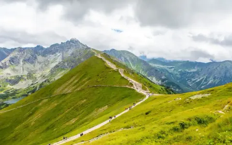 Szlak turystyczny wiodący przez zielone zbocza, prowadzący do skalistych szczytów. To widok na najpiękniejsze góry w Polsce, Tatry.