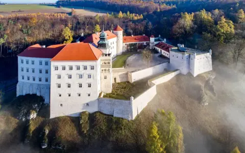 Majestatyczny zamek pod Krakowem, otoczony mgłą i jesiennym lasem, wznosi się na wzgórzu.