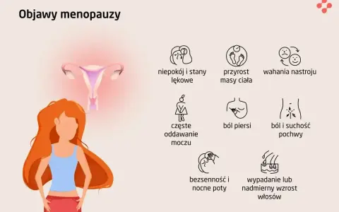 Ilustracja przedstawia objawy menopauzy: niepokój, przyrost masy ciała, wahania nastroju, ból piersi, suchość pochwy, bezsenność, nocne poty, wypadanie włosów.