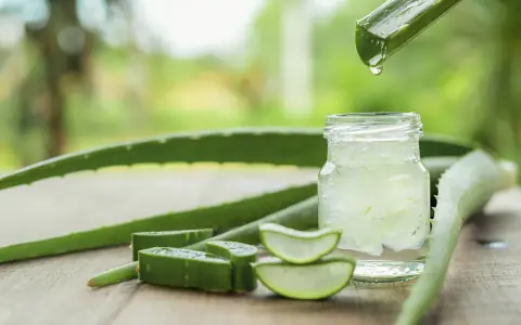 Aloe Vera Gel in einem Glas mit geschnittenen Aloe Vera Scheiben und einem Blatt, aus dem Tropfen fallen.